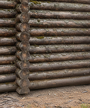 До обработки сруба